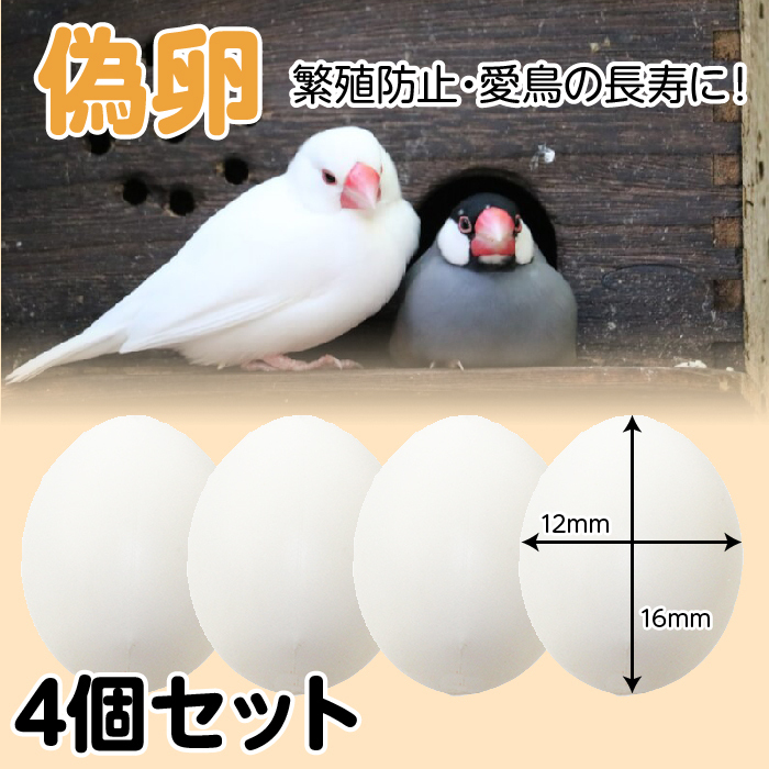 fake egg 4 piece set . egg dummy egg se regulation parakeet small bird breeding production egg . egg 