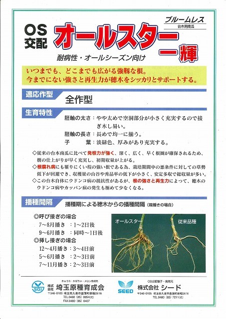  шт. дерево ( огурец для ) все Star один блестящий 20 шарик ( АО ) Saitama . вид выращивание .