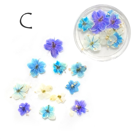  resin . go in material raw materials resin accessory pressed flower small flower dry flower preserved flower spring springs resin nails material for flower arrangement 1 piece 2404 rp-364