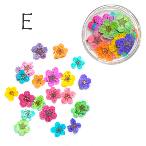  resin . go in material raw materials resin accessory pressed flower small flower dry flower preserved flower spring springs resin nails material for flower arrangement 1 piece 2404 rp-364