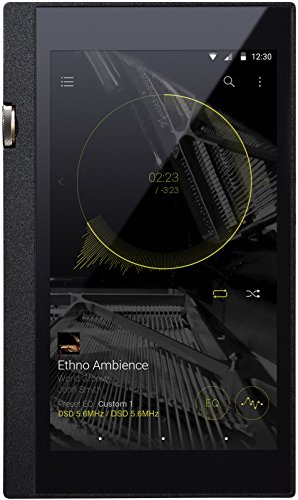 【美品・送料無料】DP-X1 オンキヨー DP-X1 32GB デジタルオーディオプレーヤー - 最安値