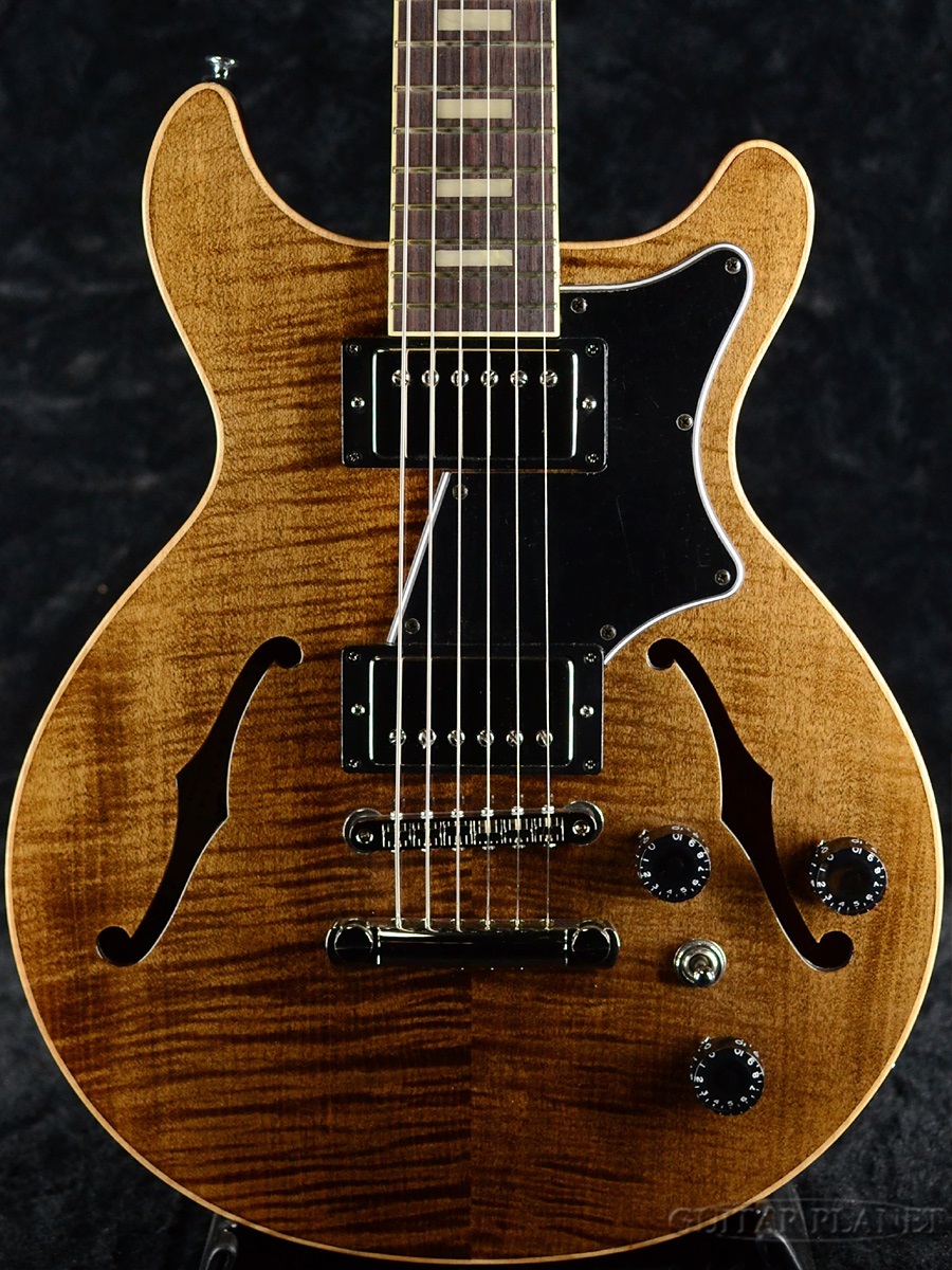 Seventy Seven Guitars ALBATROSS-DX20 TBL《エレキギター》 : ギター