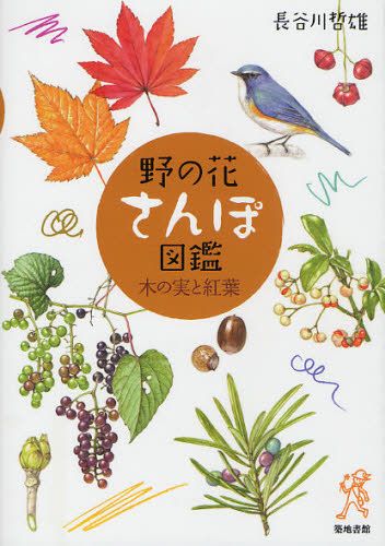 野の花さんぽ図鑑 木の実と紅葉