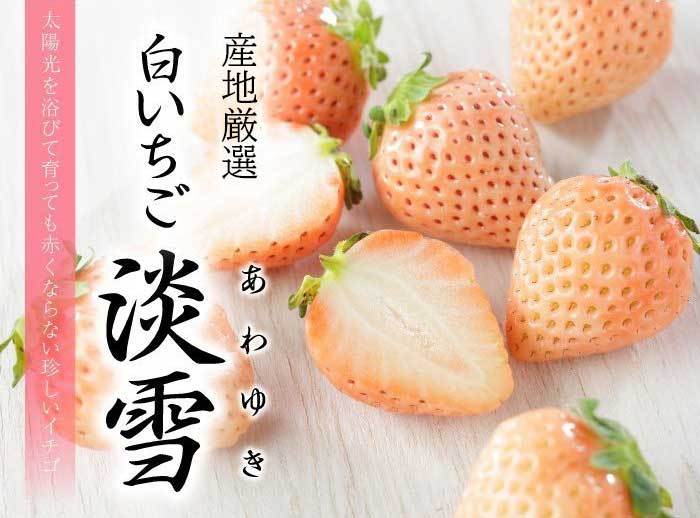  strawberry white strawberry . snow ....3L~M size approximately 270g×2 pack production ground carefuly selected . strawberry gift your order 