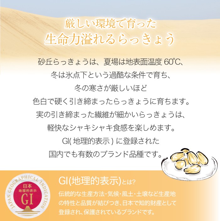  wash sand . rakkyou preeminence goods M size 5kg Tottori prefecture production JA Tottori ... luck part production .... making person recipe attaching 