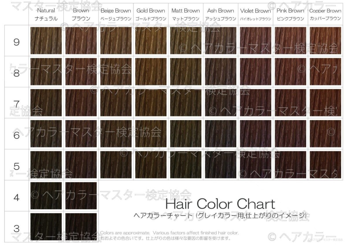  краситель для волос chart 5 шт. комплект A6. цвет модный окраска краска для волос мода цвет серый цвет волосы колорирование . окраска 