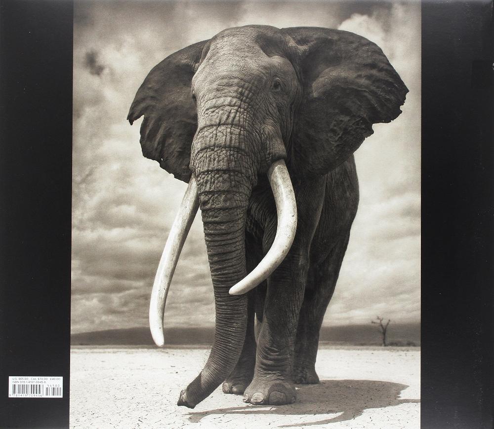 新春セール Across the Ravaged Land[並行輸入品] 【W2356064570】(11870円)