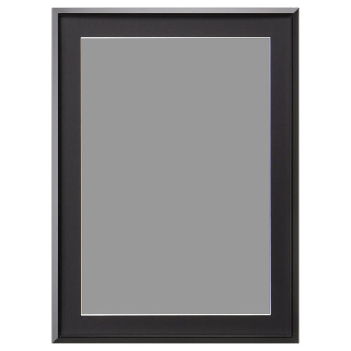 アルミ額 AG-02 A3ノビ FAG2-BKA3L （ブラック）の商品画像