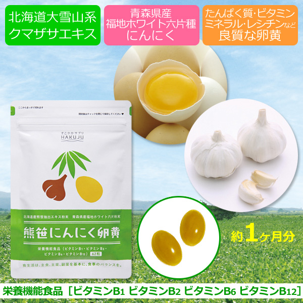 白寿生科学研究所 熊笹にんにく卵黄 62粒入 × 1個の商品画像