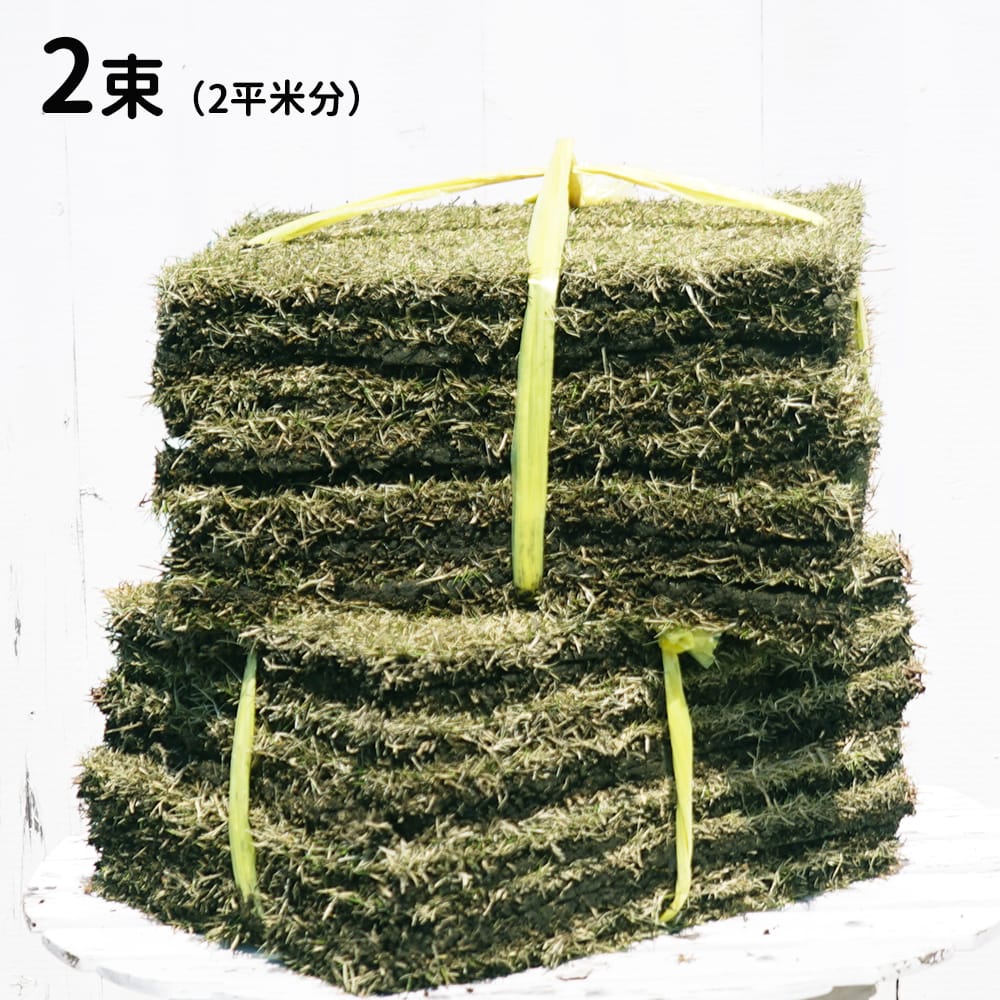  газонная трава сырой . Goryeo газонная трава 2 пачка комплект (2 flat рис минут ) производство распродажа Okinawa, отдаленный остров не возможно 