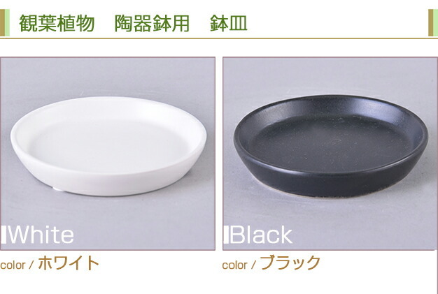 [ in set buy goods ] ceramics pot plate pot plate . plate saucer ceramics 3 number decorative plant 