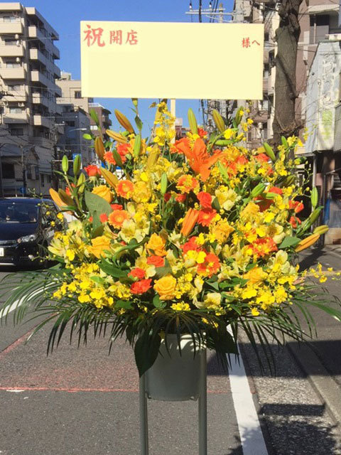 [ красочный случайный ][ рассылка, название ., изображение, восстановление бесплатный ][ вся страна соответствует подставка цветок ] цветок темно синий ракушка ju тщательно отобранный цветок магазин. праздник подставка цветок 1 уровень 17000 иен 