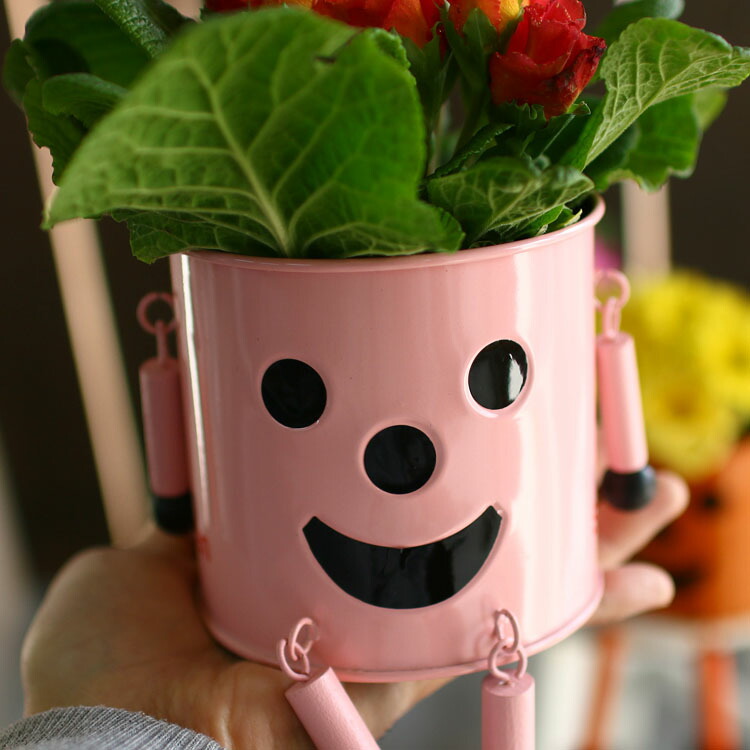  садоводство смешанные товары [ все 6 цвет!] популярный .. средний. .... Smile жестяная пластина производства посадочная машина pot [ жестяная пластина man ]M размер (3 номер pot для )( горшок стеганый чехол натуральный смешанные товары 