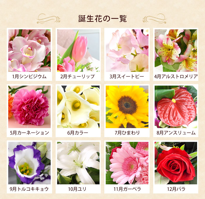 [ refrigeration flight ]. delivery birthday present flower birth flower . used arrangement 5 month carnation birth month. natural flower arrange S size woman ..... rice .. calendar old .