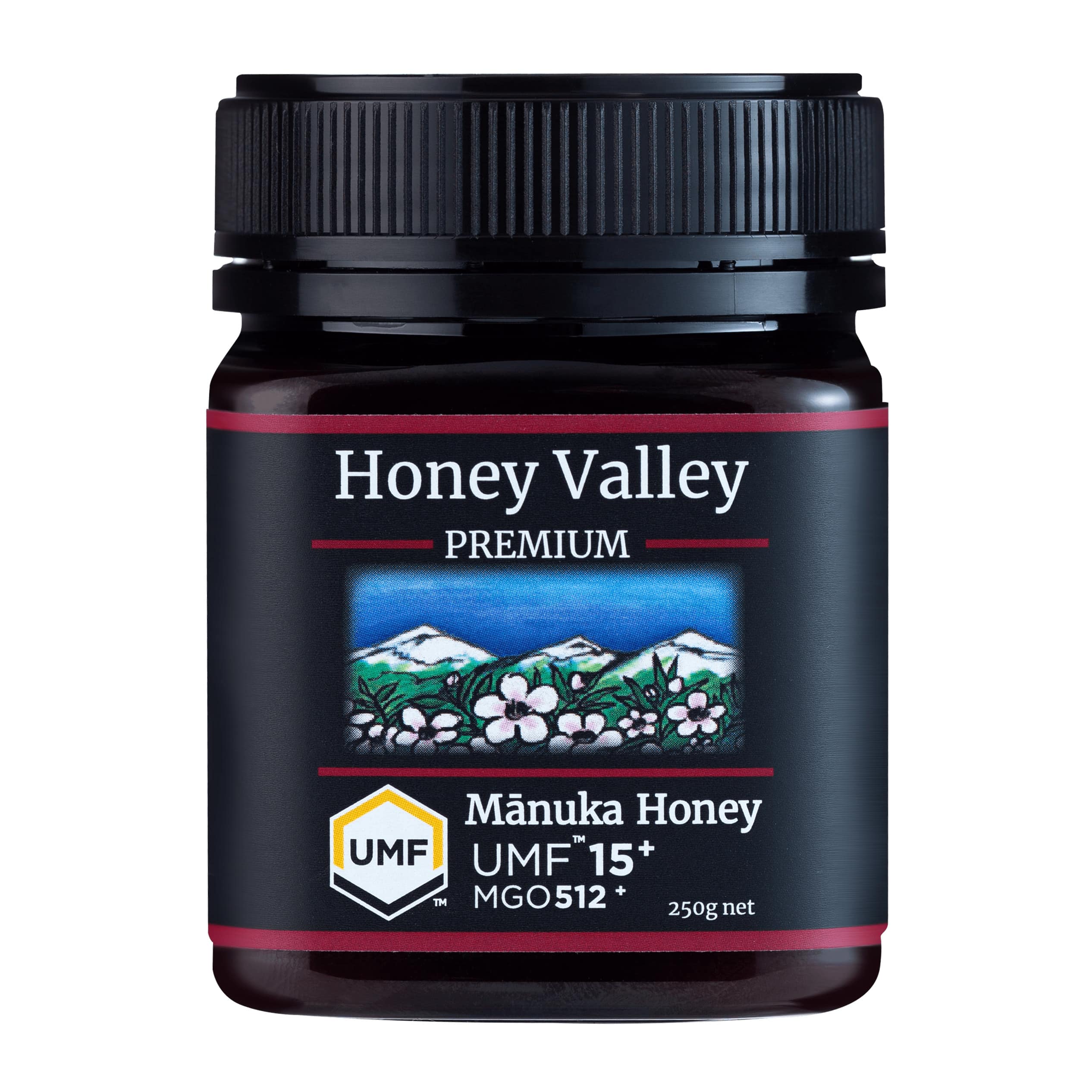 プレミアム マヌカハニー UMF15+ MGO500+ 250gの商品画像