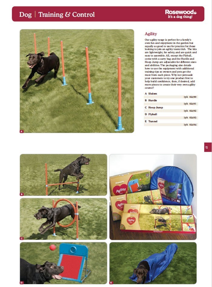  собака Agility Англия ROSEWOOD собака Agility бег с препятствиями собака Ran 