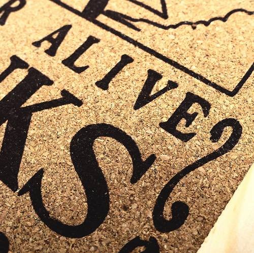 コルクボード ワンピース ONE PIECE シャンクス HB-516 メール便OK