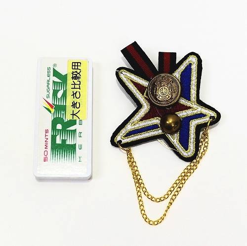 オリジナル　パッチ　製作所 バッジ ワッペン風 刺繍 スター チェーン付き d1 エンブレム 赤 青 白