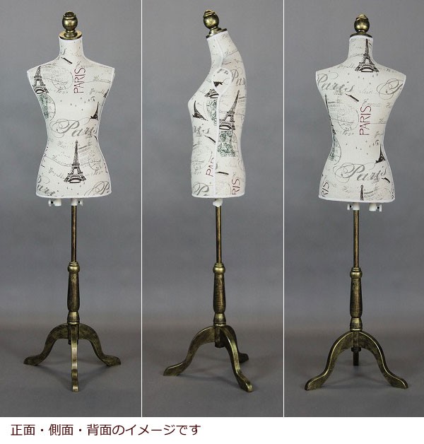トルソー マネキン Torso ３ ディスプレイ 収納 コーディネートトルソー 洋裁 服飾 おしゃれ 安い Y Sn Torso3 本棚専門店 通販 Yahoo ショッピング