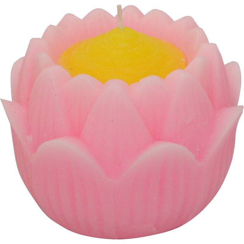  Japan low sok lotus flower low sok single goods pink 