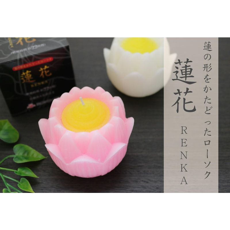  Japan low sok lotus flower low sok single goods pink 