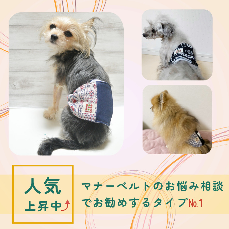 HARZth is -z manner belt male s dog belt marking prevention rubber entering easy attaching and detaching small size dog medium sized dog nursing dog nursing belt 25~33 manner belt dog 