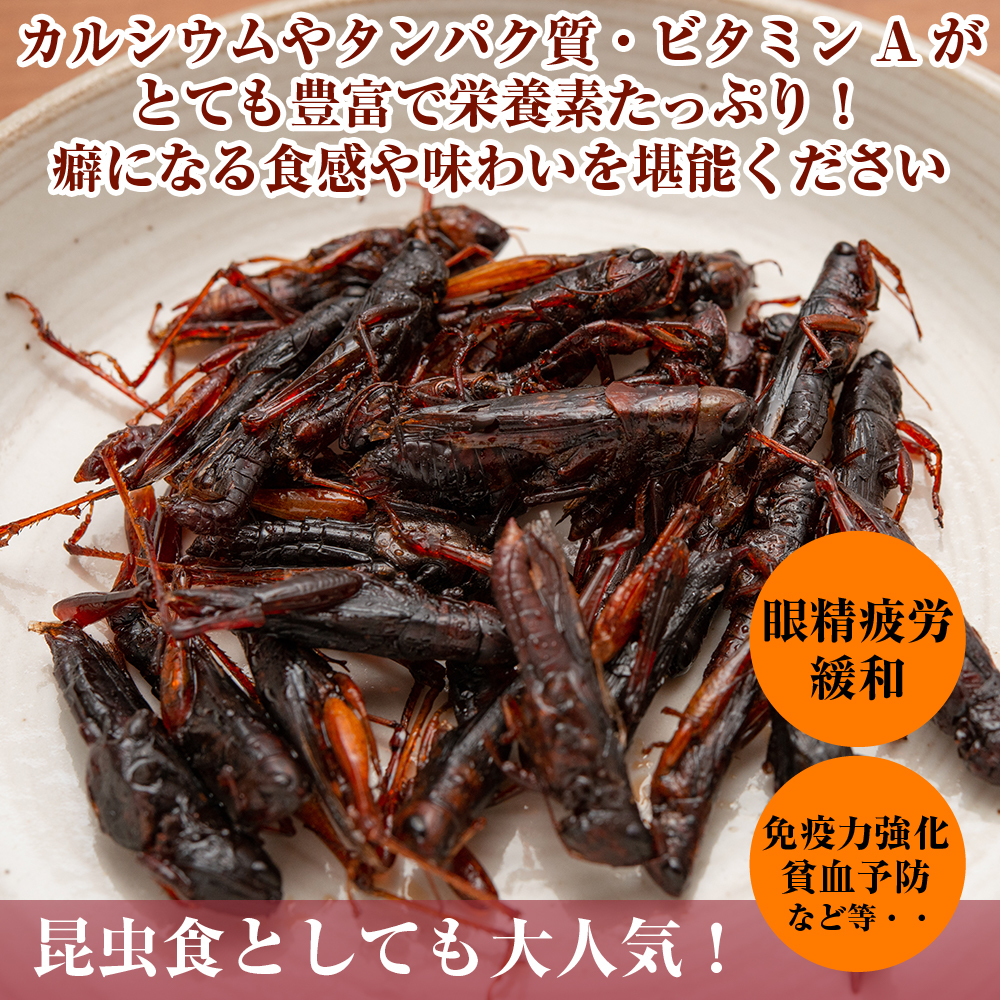 inago tsukudani 80g 2 portion degree meal ... size ...inago tsukudani sweets . insect meal 13 o'clock till that day shipping 