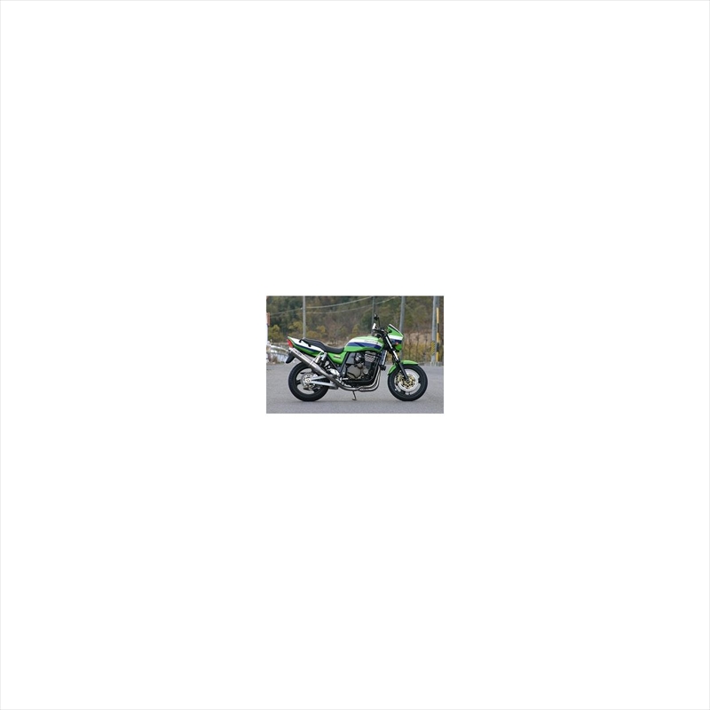 FASARM R TITAN V/CAT TYPE-SC チタン（ZRX1200R/S/1100 -'08）NTPX608VTI-CLの商品画像