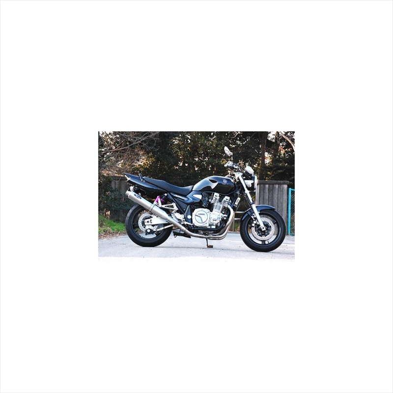 スペシャルパーツ武川 D-Style マフラー（DAX50 12V/AB26） バイク用