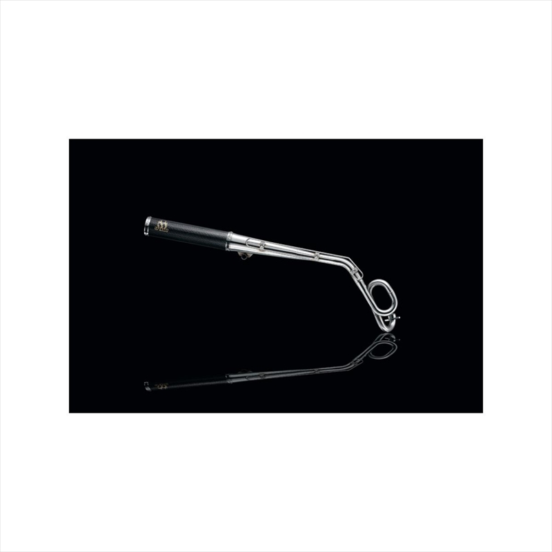 PURESPORT カーボン（CT125ハンターカブ/2BJ-JA55）CT1-PS-01の商品画像