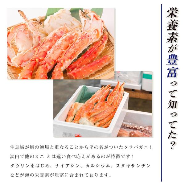  подарок по случаю конца года . лет . осэти морепродукты осэти 2 большой .B( Hokkaido шерсть .800g* треска ba shrink 800g)) краб краб . Hokkaido обработка Boyle рефрижератор ... шерсть краб шерсть .... краб 