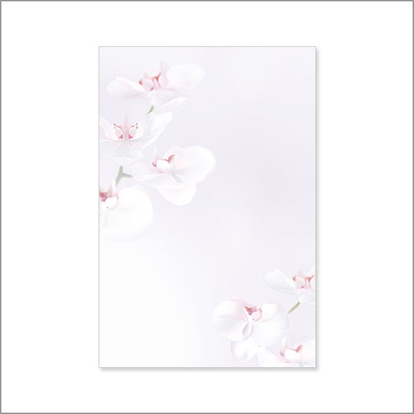. средний открытка . бабочка орхидея 100 листов мульти- принтер соответствует бумага 