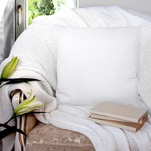 Utopia Bedding Throw Pillows Insert (Pack of 2, White) ー 22 x 22