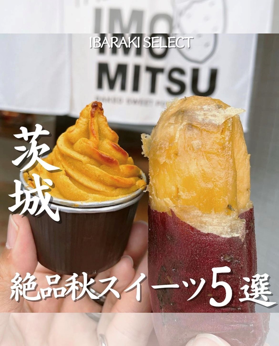  festival opening great special price freezing roasting corm Ibaraki prefecture production preeminence goods . is ..M size sweet potato no addition gift free shipping 2kg roasting .. roasting corm 