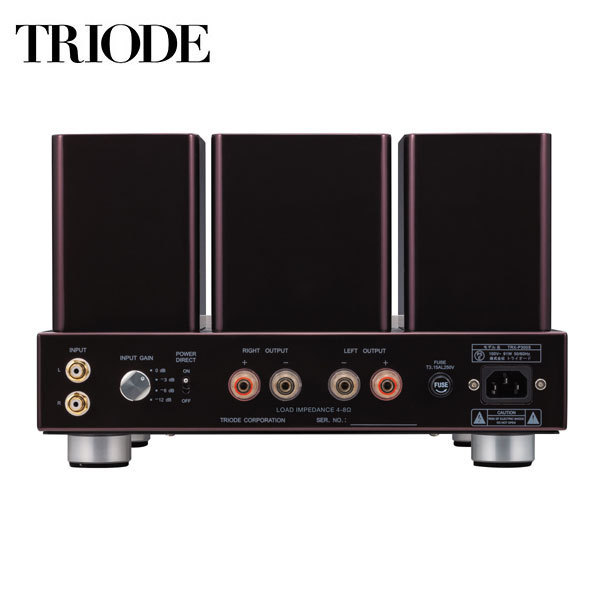  Try o-doTRIODE вакуумная трубка стерео усилитель мощности TRX-P300S-WE300B усилитель 300B A класс одиночный стерео усилитель мощности 