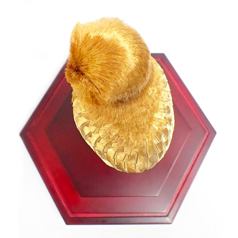  original made of gold ornament owl height 16.5cm