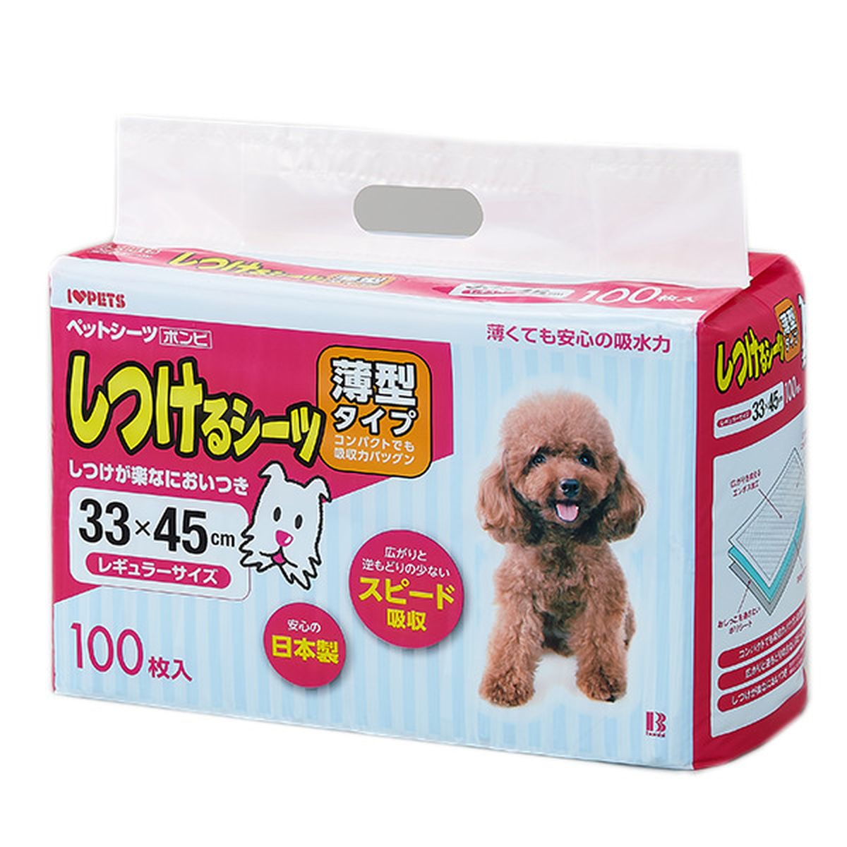 レギュラー 100枚 / 8個