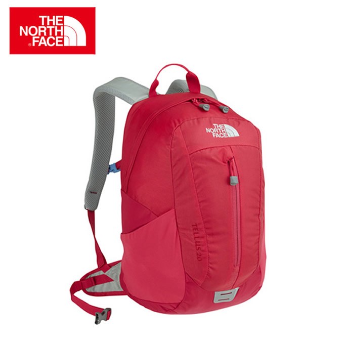 THE NORTH FACE キッズテルス20 NMJ71652の商品画像