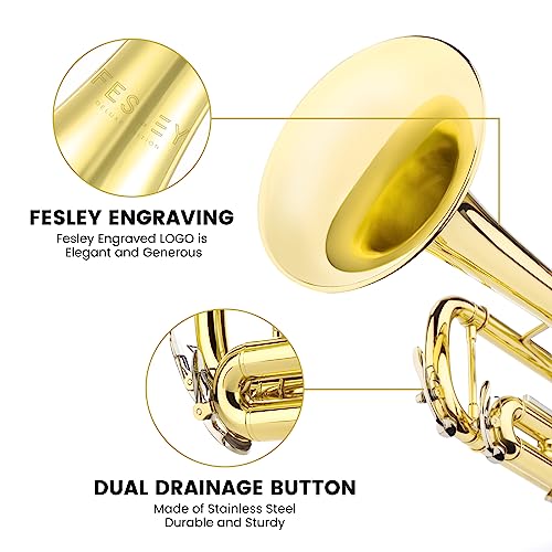 Fesley Bb standard trumpet set brass trumpet musical instruments for adult beginner trumpet musical instruments student trumpet parallel imported goods 