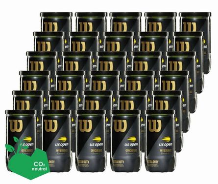 ダンロップ FORT フォート 4球×30缶(120球) DUNLOP DUNLOP ダンロップ FORT フォート 4球×30缶 120球 DFCPEYLPT4 1