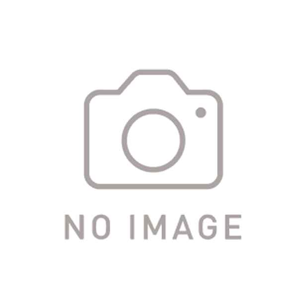 EVOLUTION LINE（4-2-1）チタン（YZF-R6 '08-'23）S-Y6E9-APTの商品画像