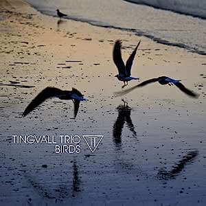Tingvall Trioting bar Trio / Birds (LP)