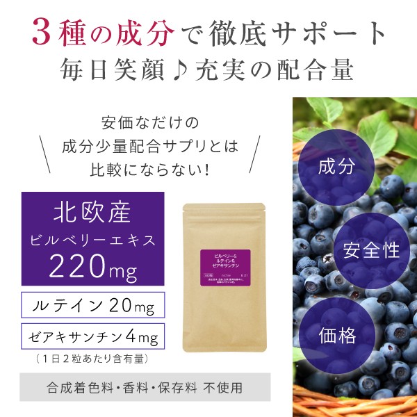 ビルベリー ルテイン サプリメント ゼアキサンチン 180粒 アントシアニン ブルーベリー Supplement Berryutein 02 Nichie ニチエー 通販 Yahoo ショッピング