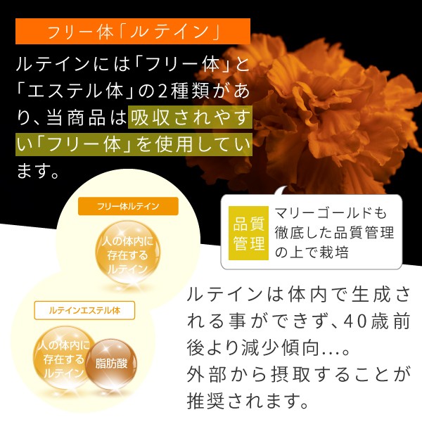 ビルベリー ルテイン サプリメント ゼアキサンチン 180粒 アントシアニン ブルーベリー Supplement Berryutein 02 Nichie ニチエー 通販 Yahoo ショッピング