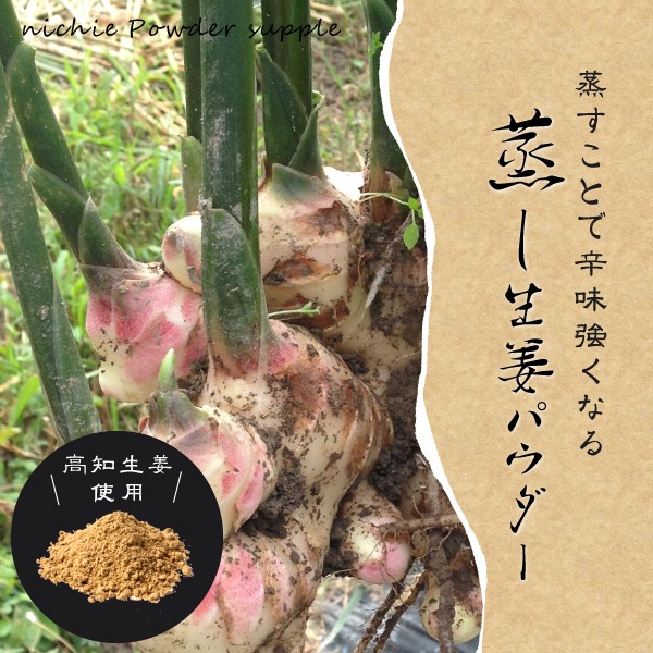 蒸し生姜パウダー 国産 高知 100 70g 生姜粉末 しょうが ジンジャーパウダー Mushiginger01 Nichie ニチエー 通販 Yahoo ショッピング