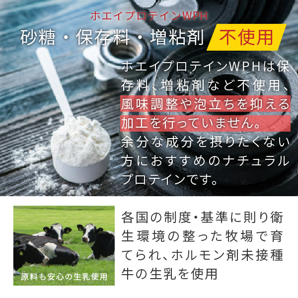 ホエイプロテイン Wph 3kg プレーン味 低分子 ホエイペプチド 甘味料 香料無添加 プロテイン ホエイ 100 パウダー Wph 03 Nichie ニチエー 通販 Yahoo ショッピング
