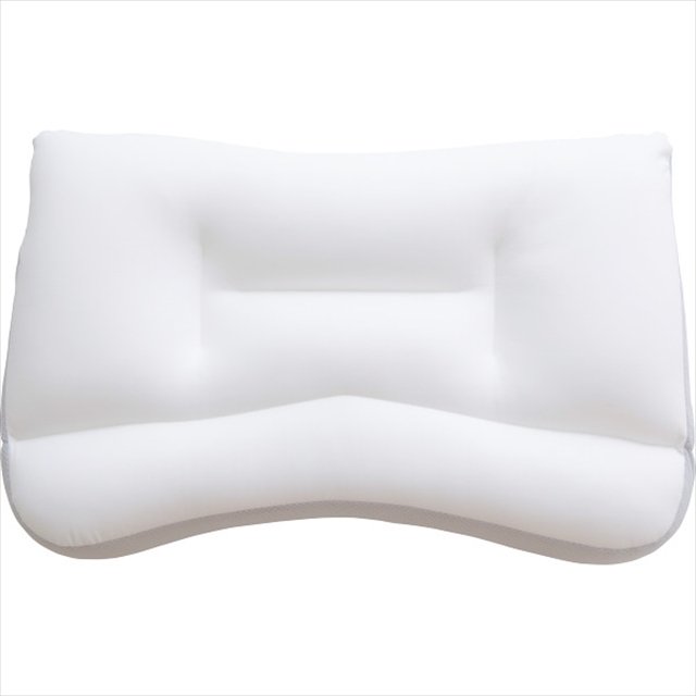 Beech 王様の夢枕2 40×62cmの商品画像