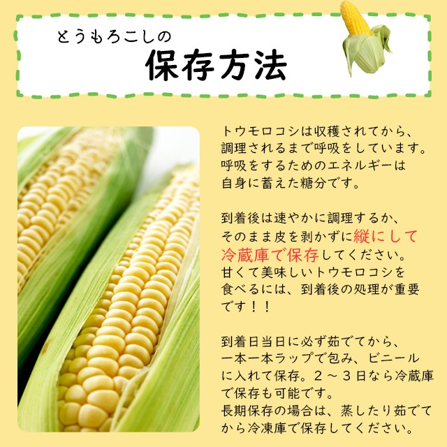 2024 year reservation corn free shipping Hokkaido production white corn snow. ..(6 pcs insertion .) / popular white white corn .. height sugar times production direct 