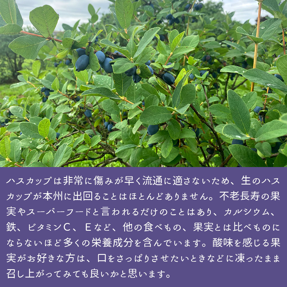 [ включая доставку ] Hokkaido производство рефрижератор - s cup 10Kg рефрижератор фрукты для бизнеса кондитерские изделия предназначенный сладости конструкция super капот 