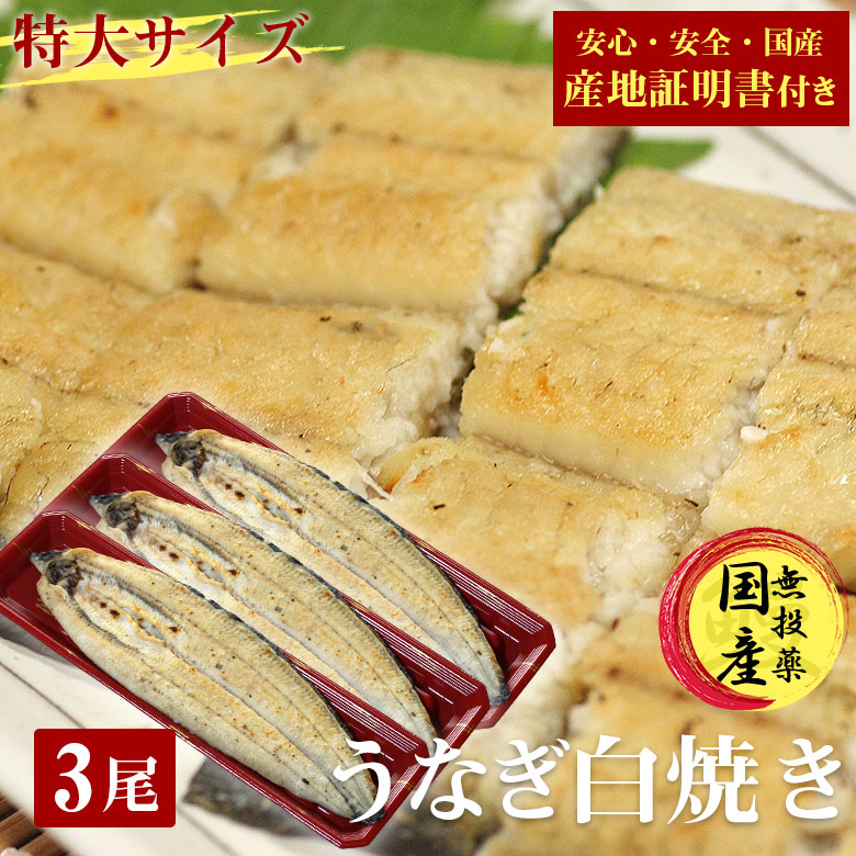 国産 うなぎ 白焼き 鰻 しら焼き 送料無料 特大 200g 3尾 セット 国産 うなぎ 白焼き 鰻 しら焼き 送料無料 特大 200g 3尾 セット